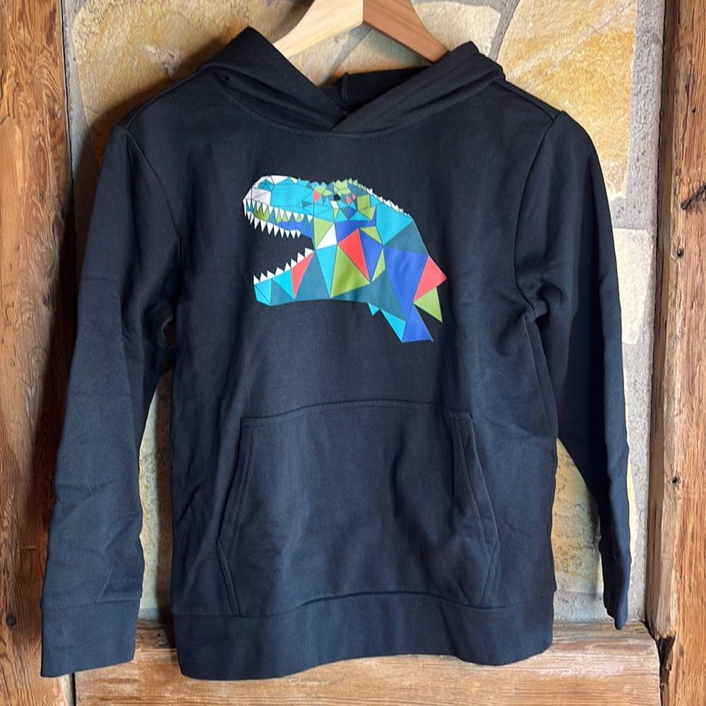 Rumi + Ryder Classic Dino 🦖 Graphic Fleece Pullover 🫶 - Picture 3 of 7